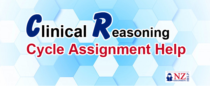 Clinical Reasoning Cycle Assignment Help