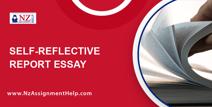 Self-reflective Report Essay