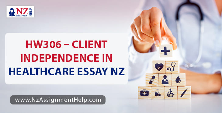 HW306 - Client Independence in Healthcare Essay Example