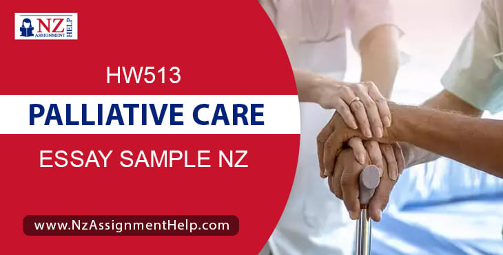 HW513 - Palliative Care Essay Sample For Nursing Students