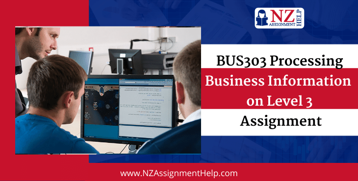 BUS303 Processing Business Information Level 3 Assignment Sample, NZ