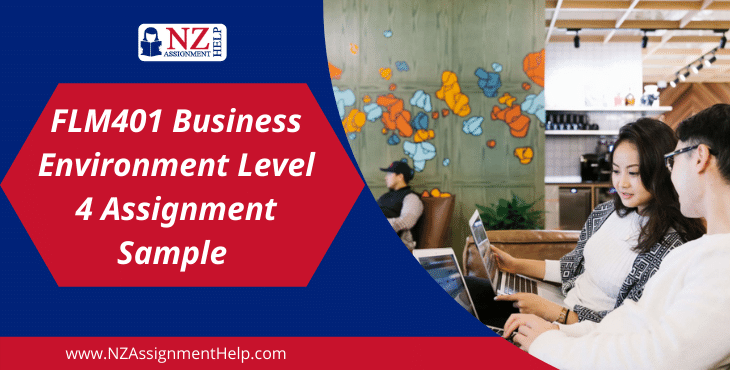 FLM401 Business Environment Level 4 Assignment sample